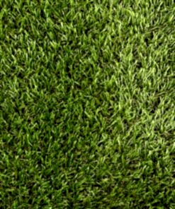 25 MM ÇİM HALI – Elite INDRA – 1600gr