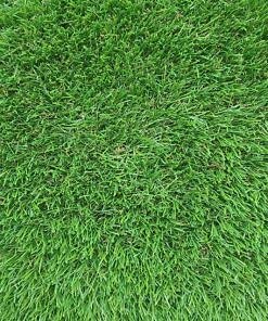 60 MM Çim Halı - Elite FORESTA - 4375 GR